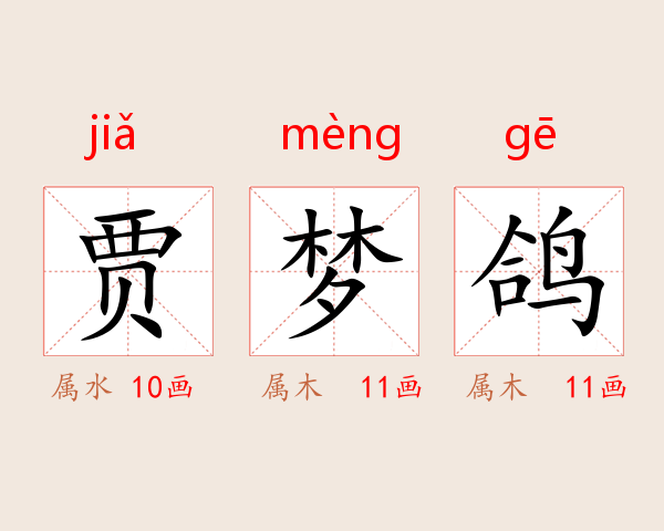 贾梦鸽