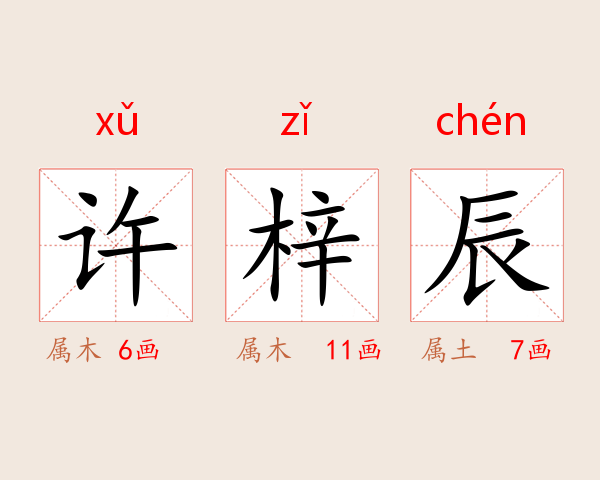 许梓辰