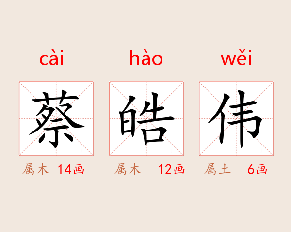 蔡皓伟