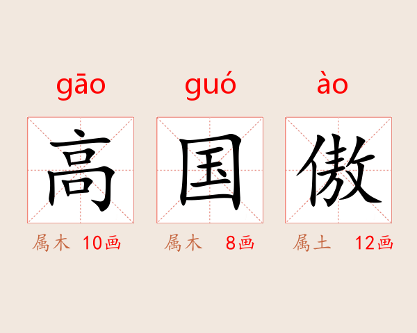 高国傲