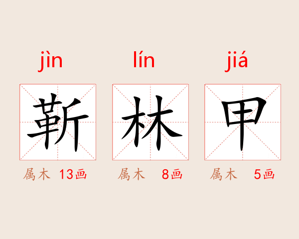 靳林甲