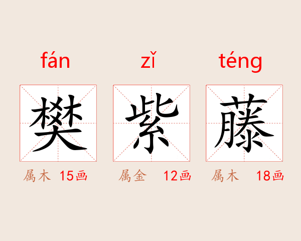 樊紫藤
