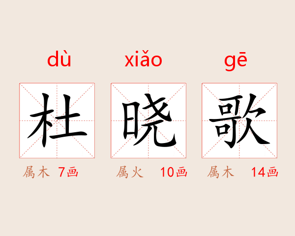 杜晓歌