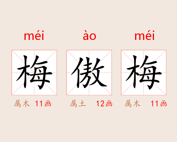 梅傲梅