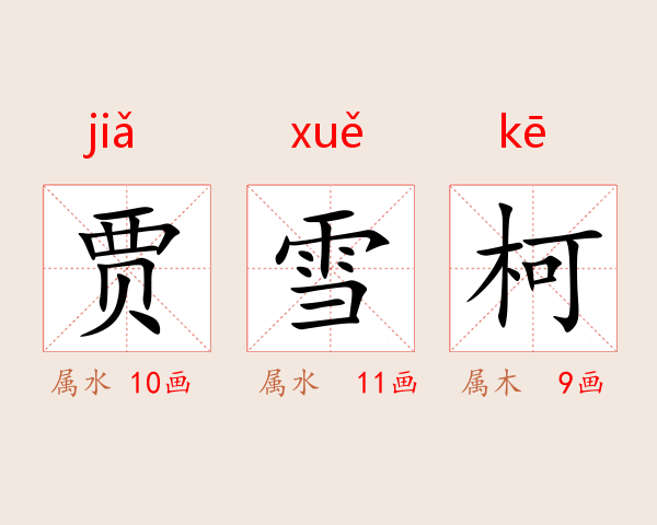 贾雪柯