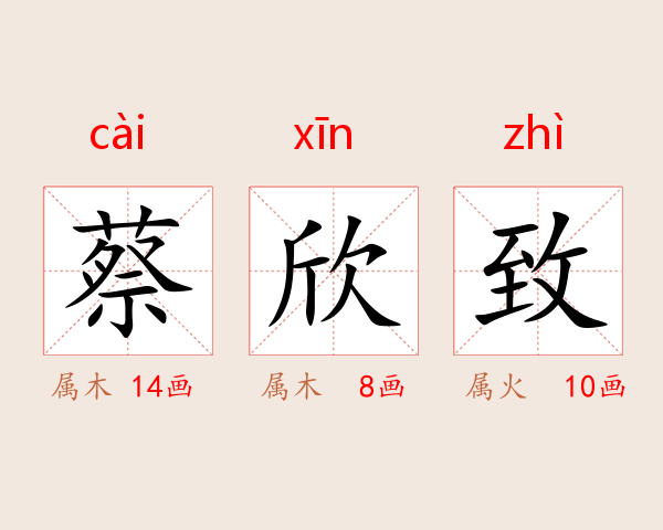 蔡欣致