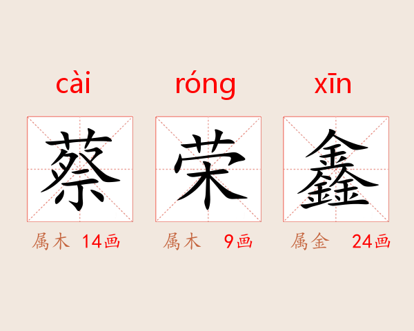 蔡荣鑫