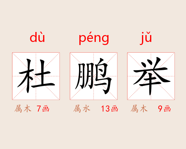 杜鹏举