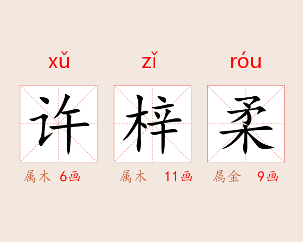 许梓柔