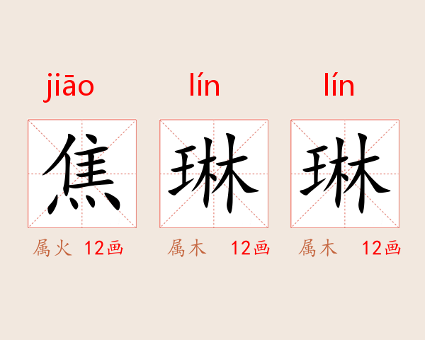 焦琳琳