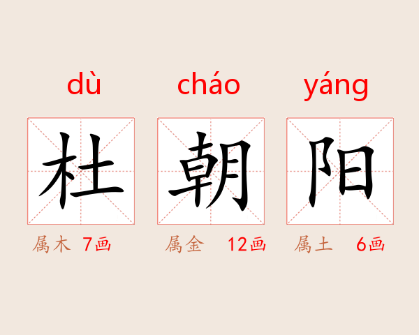 杜朝阳