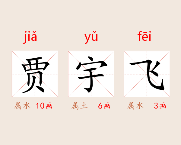 贾宇飞