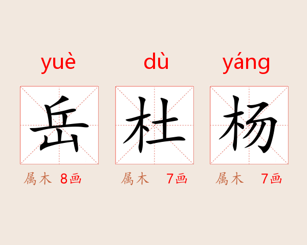 岳杜杨