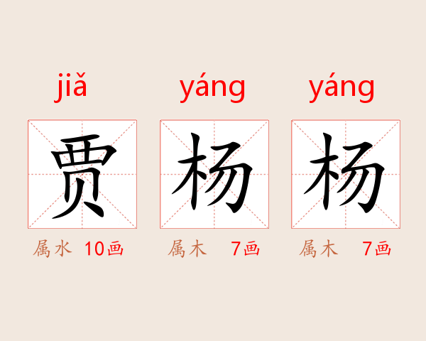 贾杨杨