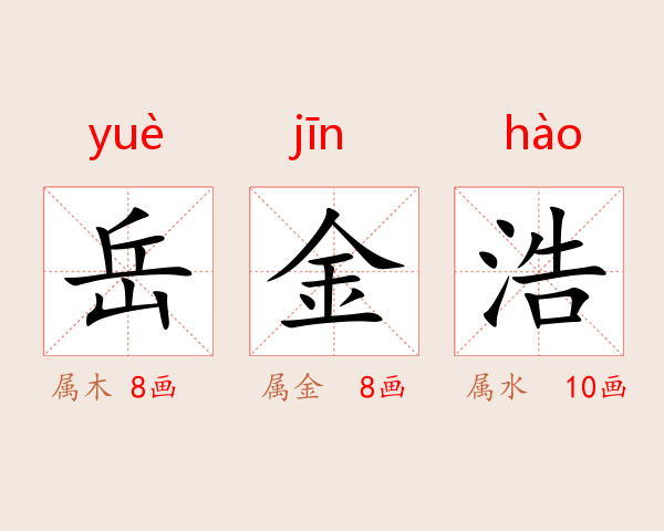 岳金浩