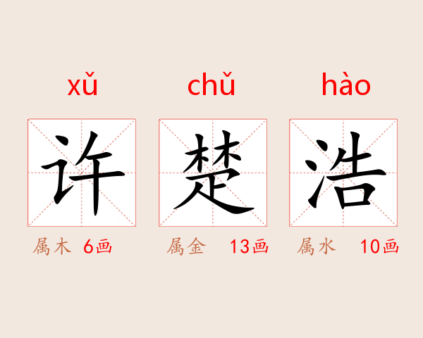 许楚浩