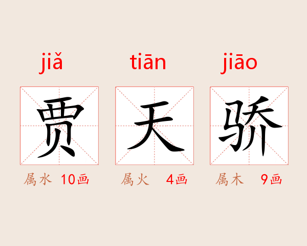 贾天骄