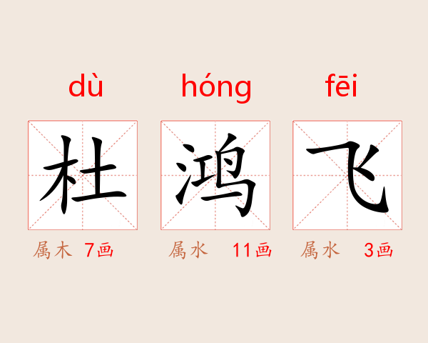 杜鸿飞