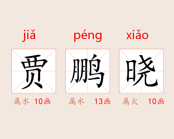 贾鹏晓