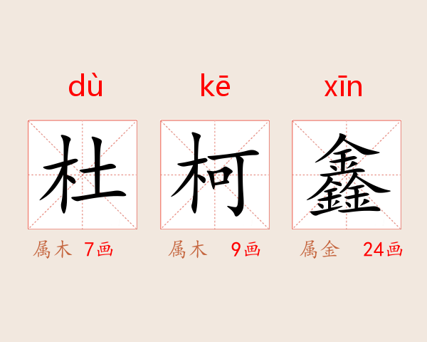杜柯鑫