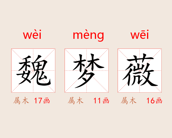 魏梦薇