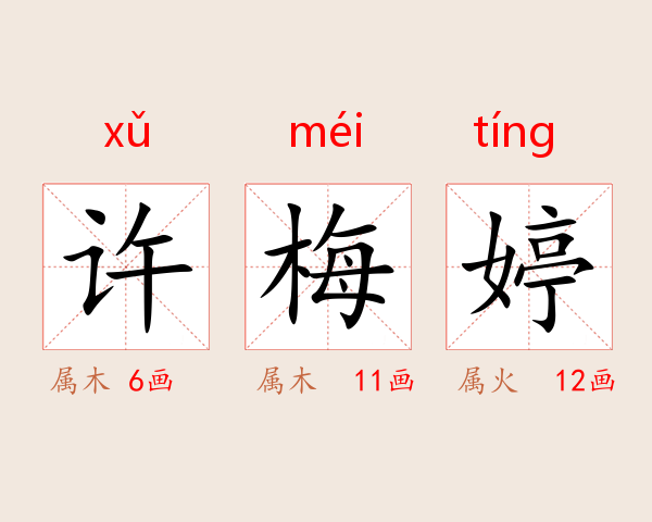 许梅婷