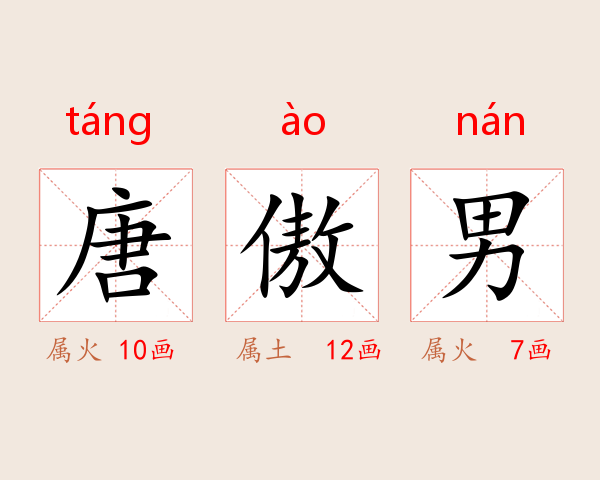 唐傲男