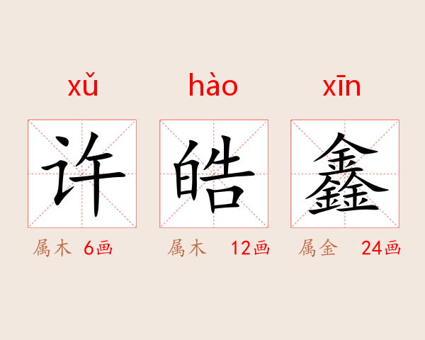许皓鑫