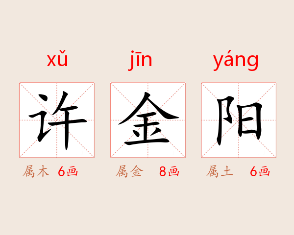 许金阳