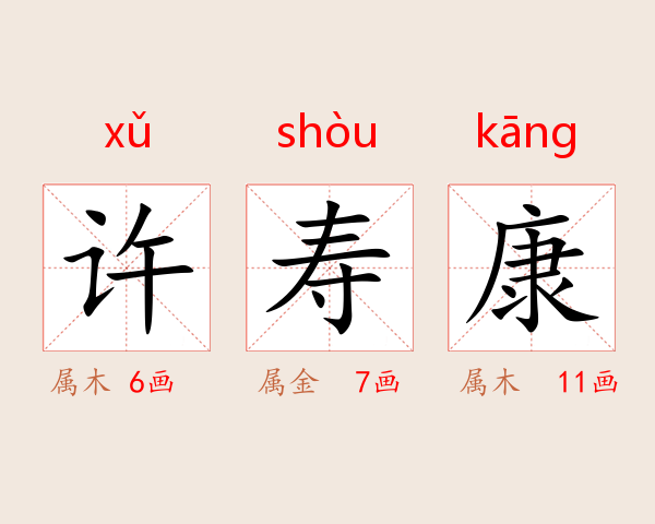 许寿康