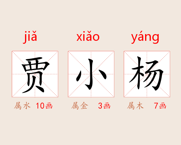 贾小杨