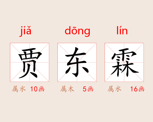 贾东霖