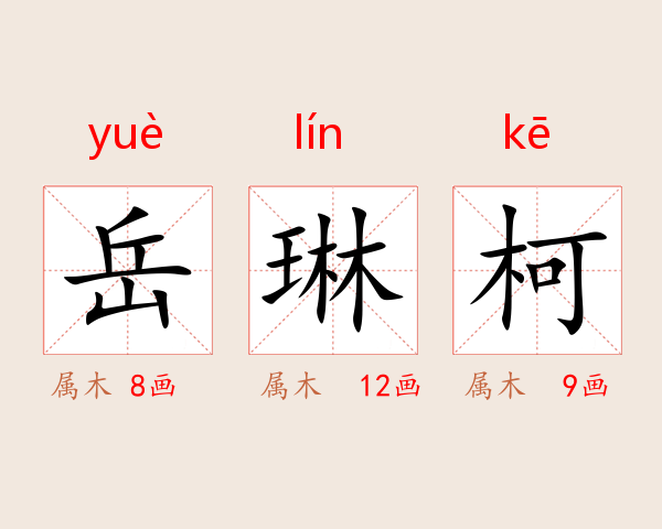 岳琳柯