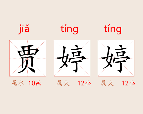 贾婷婷