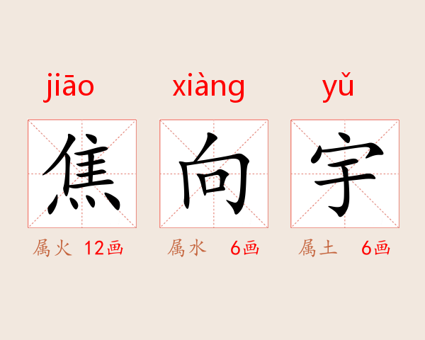 焦向宇