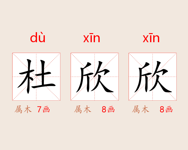 杜欣欣