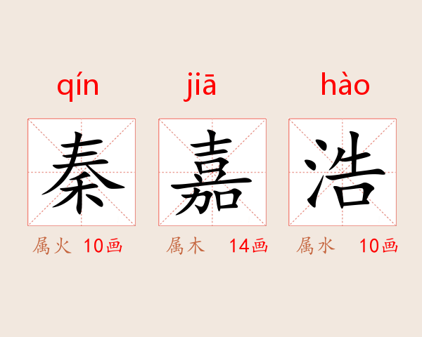 秦嘉浩