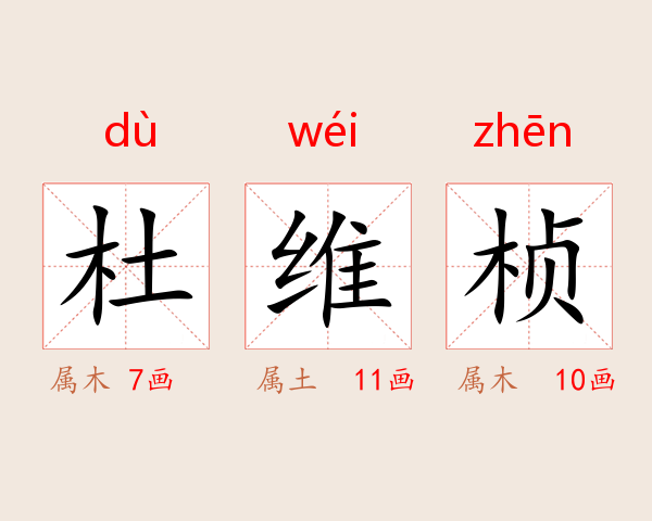 杜维桢
