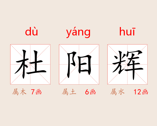 杜阳辉