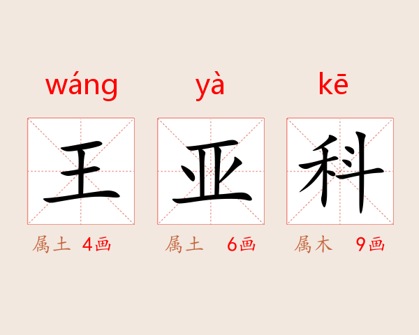 王亚科