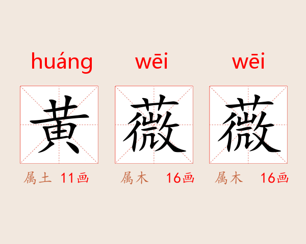 黄薇薇