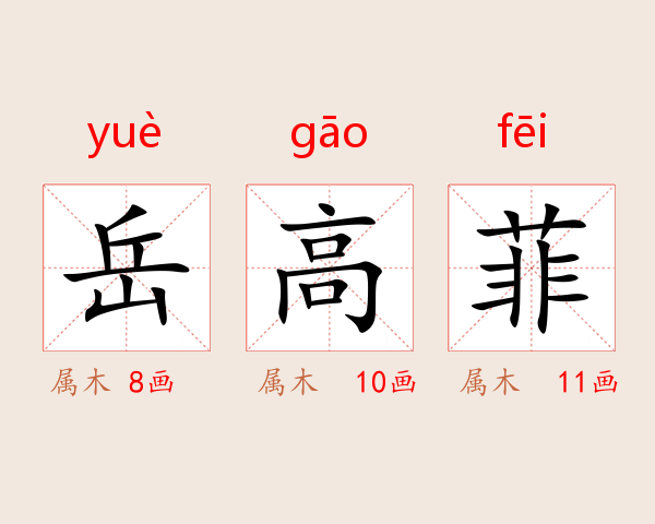岳高菲