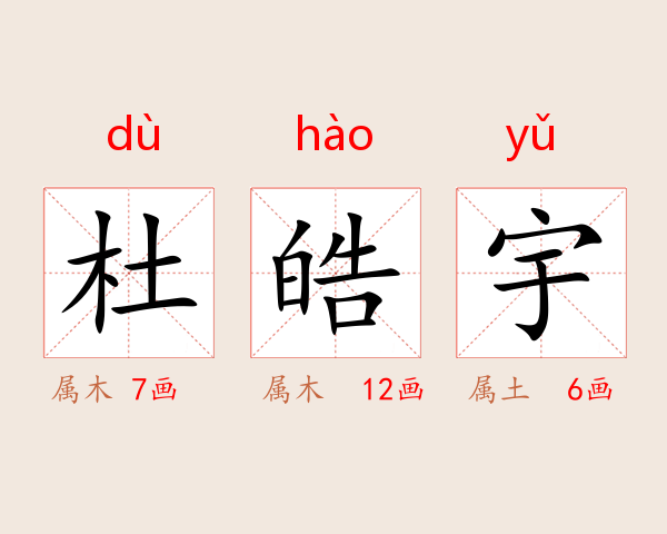 杜皓宇