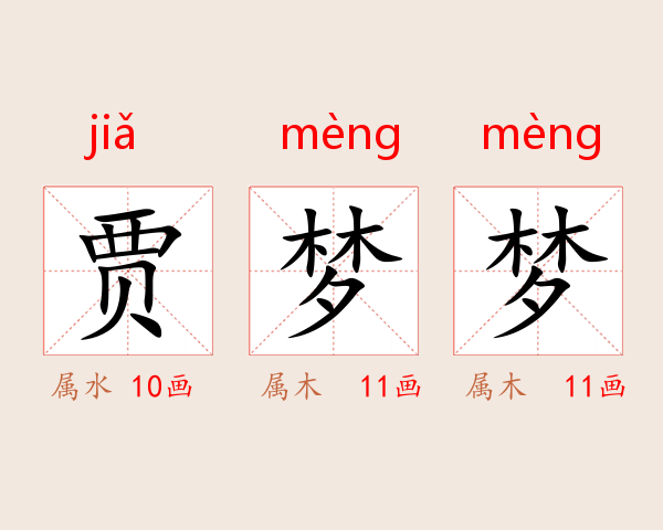 贾梦梦