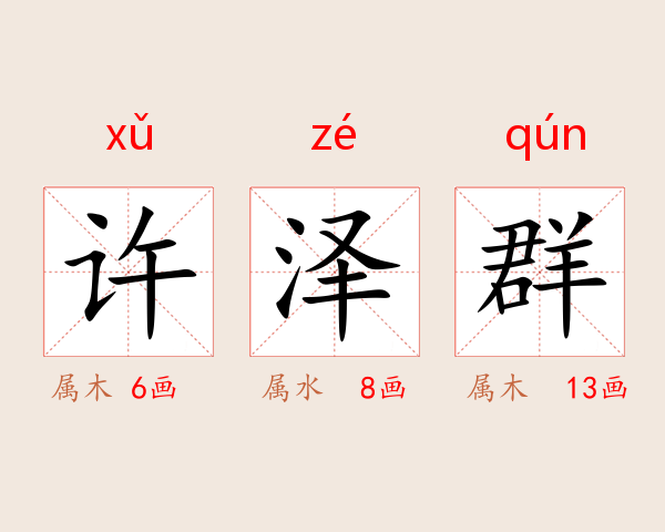 许泽群