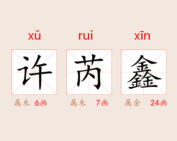 许芮鑫