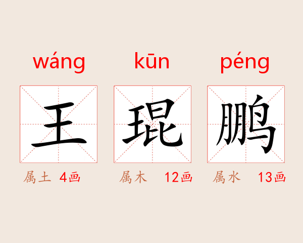 王琨鹏
