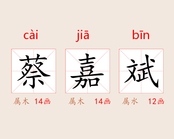 蔡嘉斌