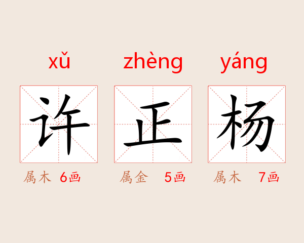 许正杨