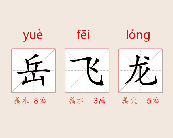 岳飞龙